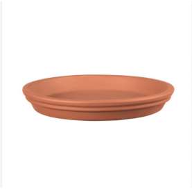Terracotta Clay Dish