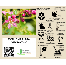 Escallonia rubra "macrantha". Viveros González. Natural Garden Center Marbella