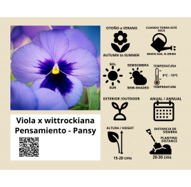 Pensamiento. Viola tricolor. Viveros González. Natural Garden Center Marbella.