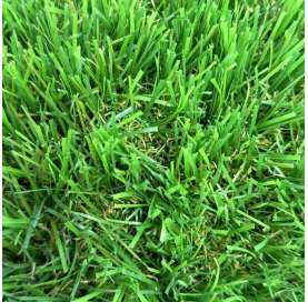 Unique Artificial Grass |...