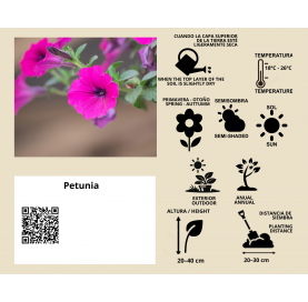 Petunia - Viveros González - Natural Garden Center Marbella