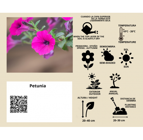 Petunia - Viveros González - Natural Garden Center Marbella
