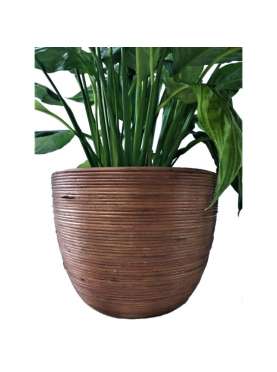 Indoor flower pot. Colombo...