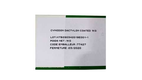 Semillas césped Cynodon dactilon 1K kg