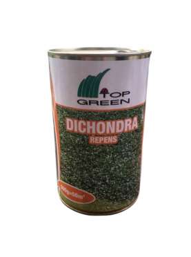 Dichondra repens grass...